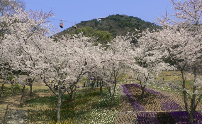 hinoyama